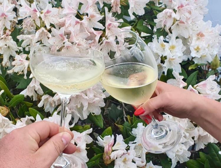 Ferienhaus Riesling Haßloch Dış mekan fotoğraf